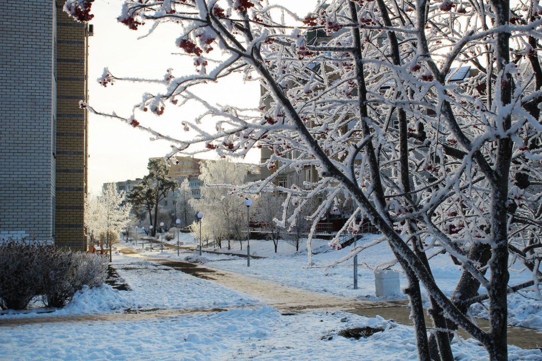 Зимний Саров - 01.jpg.jpg